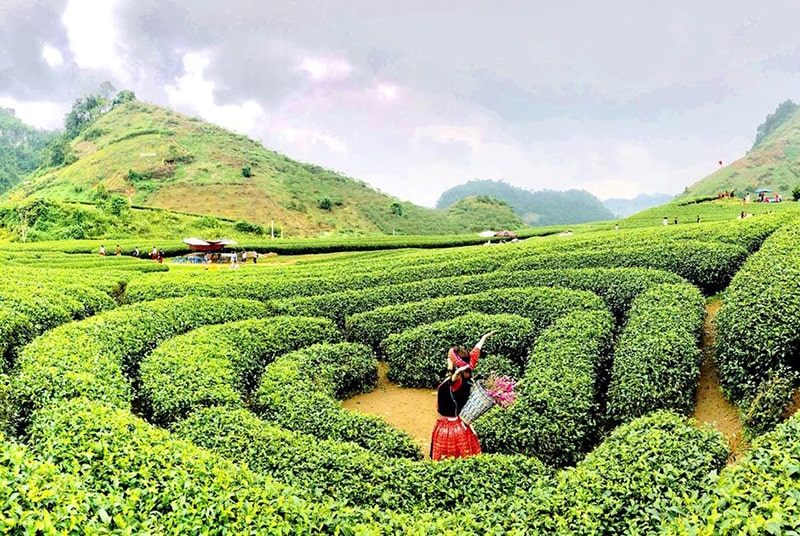 Tour săn mây Tà Xùa - Bắc Yên 2 ngày 1 đêm